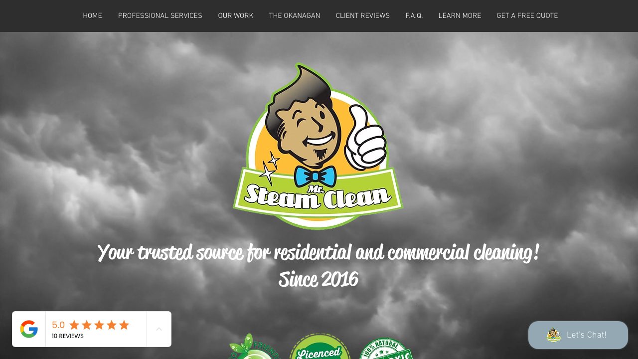 Mr. Steam Clean Services Ltd. website