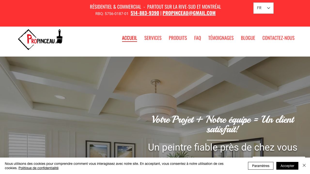 ProPinceau website